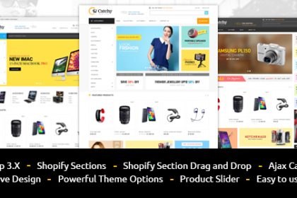 Catchy Sectioned Multipurpose Shopify Theme.jpg