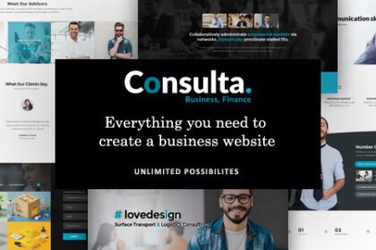 consulta preview. large preview.jpg