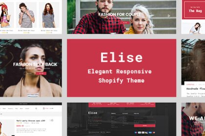 shopify elise 590x300. large preview.jpg