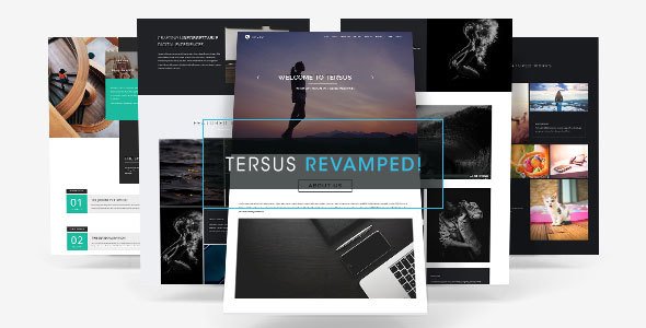 tersus preview. large preview.jpg