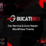 01 ducatibox preview. large preview.jpg