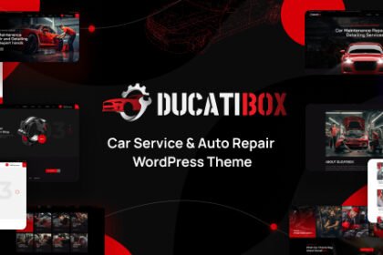 01 ducatibox preview. large preview.jpg