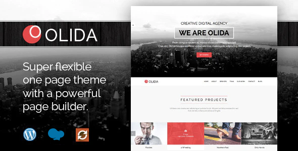 olida creative parallax one page wp theme wpbakery. large preview.png