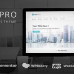 01 bizpro preview. large preview.jpg