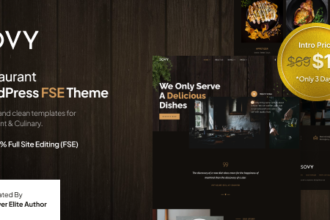 sovy theme preview intro. large preview.png